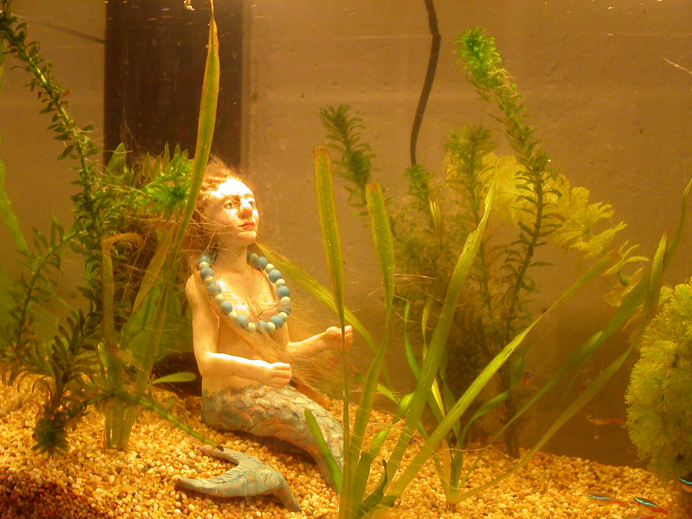 MINOLTA DIGITAL CAMERA